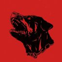 scared-dogs-bite avatar