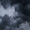 scared-little-monsters avatar