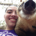 scared-of-everything avatar