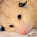 scaredandugly avatar