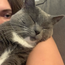 scaredbitchkitty avatar