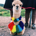 scaredhuman88 avatar