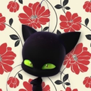 scarednightshadow avatar