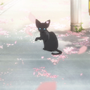 scaredofxylophones avatar