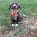 scaredycatluke avatar