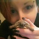 scarlet-harlot-the avatar