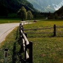 scarlet-knight avatar