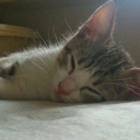 scarlet-satevis avatar