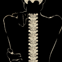 scarlet-streak-rambles avatar