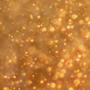 scarletgalaxies avatar