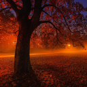 scarletnight07 avatar