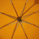 scarlettsants avatar