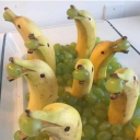 scarlettvaria avatar