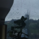 scarlettxhoney avatar