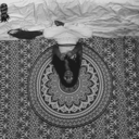 scarreddisguise avatar