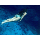 scars-on-my-wings avatar