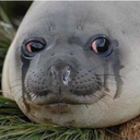 scartissue-that-iwishyou-saw avatar