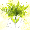 scattered-rain avatar