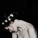 scavengememes avatar