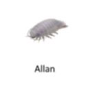 scavengeridone avatar