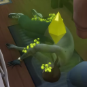 scccollection avatar