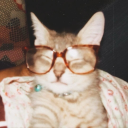 scealaiscoite avatar