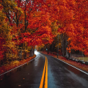 scen3ryaddict avatar