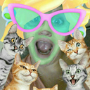 scented-trash-bouquet0311 avatar