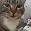 scentedauthorhumanoidlamp avatar