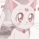 scentedtacoflower avatar