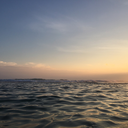 scheinundsein avatar