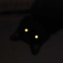 schizcat-posting avatar