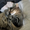 schizophrenic-angel avatar