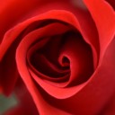 schizospec-culture-is avatar