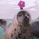 schmerbiewormo avatar