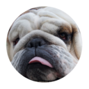 schneebsmagoo avatar