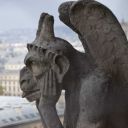 schnieke-rike avatar