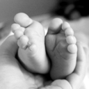 schoengeistig avatar