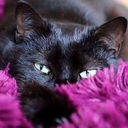 schoenheitmamba avatar