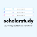 scholarstudy avatar