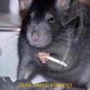 schrodingersrat666 avatar