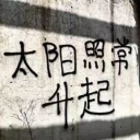 schwarze-sonne-rising avatar