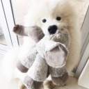 schwarzinschwarz avatar