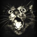 schwarzzz666-blog avatar