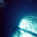 schwimmtagebuch avatar