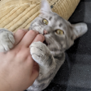 science-fiction-is-real avatar