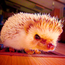 science-of-film avatar