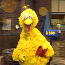 science-the-bird avatar