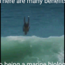 scienceandshitpostsdaily avatar