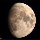 scienceandstarlight avatar